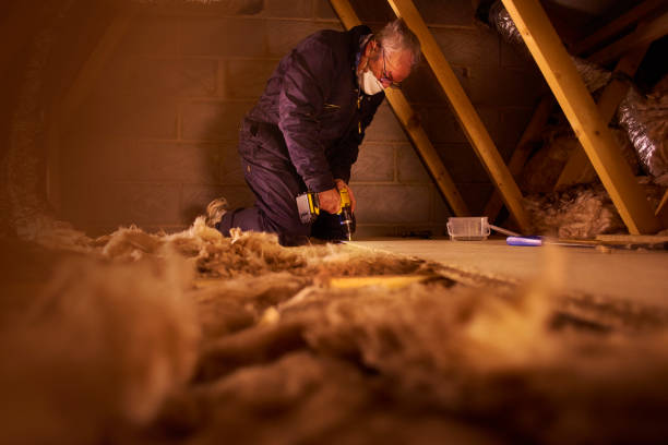 Best Specialized Insulation Services in Whiteland, IN